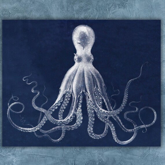 Octopus Poster Octopus Art Print Octopus Wall Decor Octopus Poster Print Animal Wall Art Animals Wall Decor