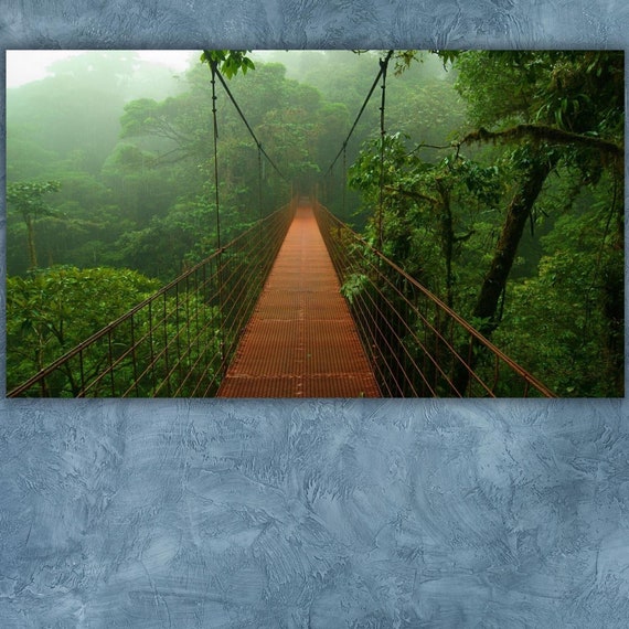 Forest Poster Wall Art Jungle Rainforest Forest Art Print Landscape Print Art Modern Wall Art Living Room Home Wall Art Decor