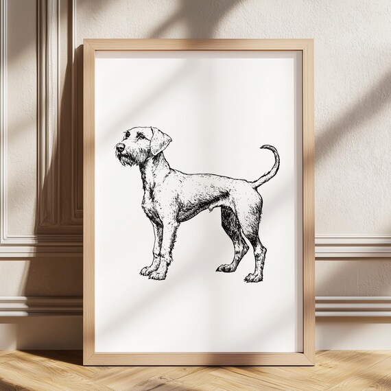 Airedale Terrier Vintage Print Dog Retro Poster Antique Painting Drawing Art Illustration Pet Sketch