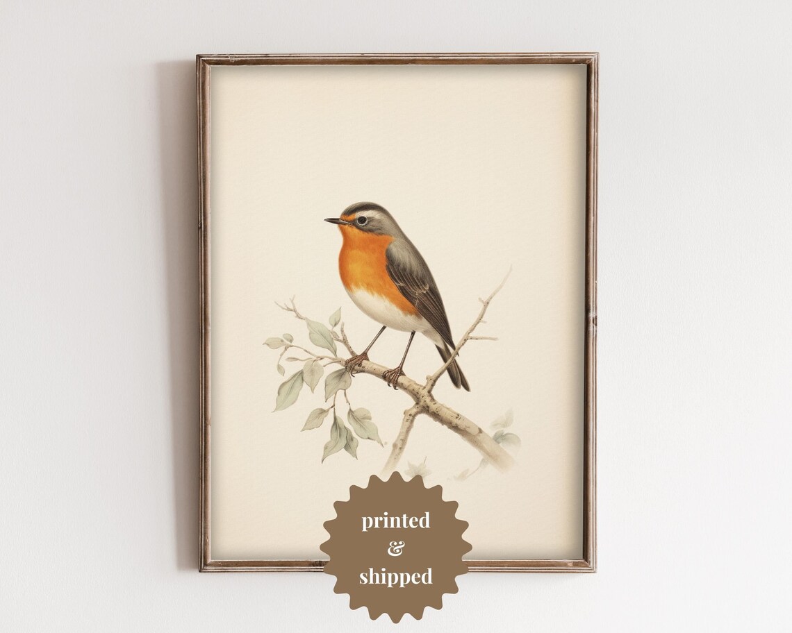 Robin Bird Vintage Style Painting, Cottage Spring Decor