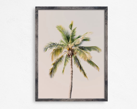 Single Palm Tree Print Beach Wall Decor Beach Print Hawaii Print California Tropical Palm Trees