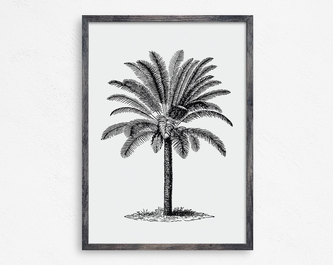 Vintage Palm Tree Print Beach Wall Decor Beach Print Hawaii Print Vintage Florida Island