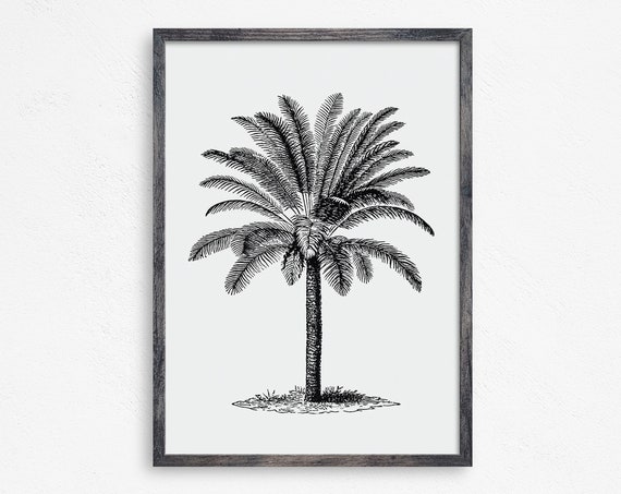 Vintage Palm Tree Print Beach Wall Decor Beach Print Hawaii Print Vintage Florida Island