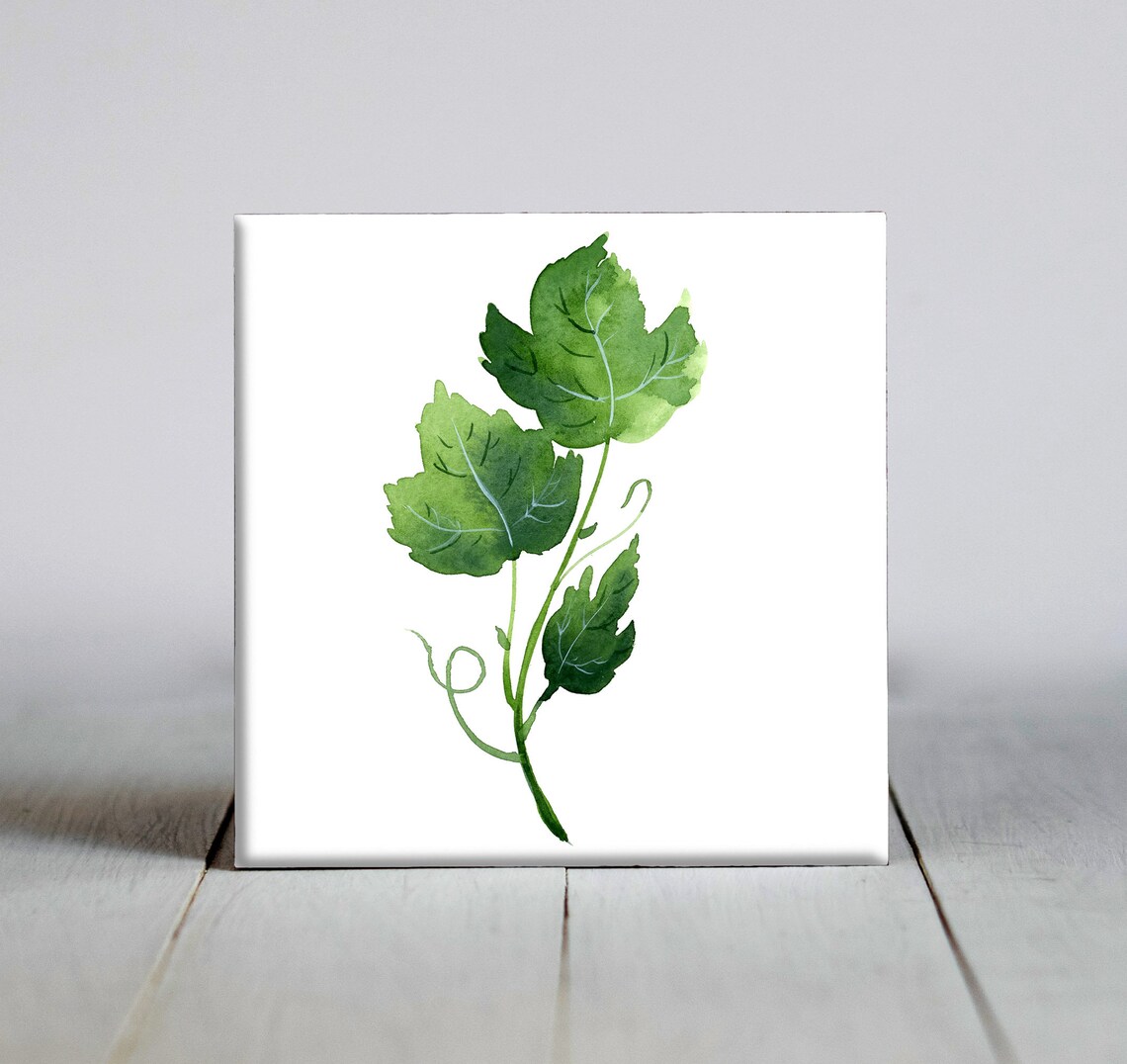 Ivy Leaves Botanical Wall Art Print, Plant Gift