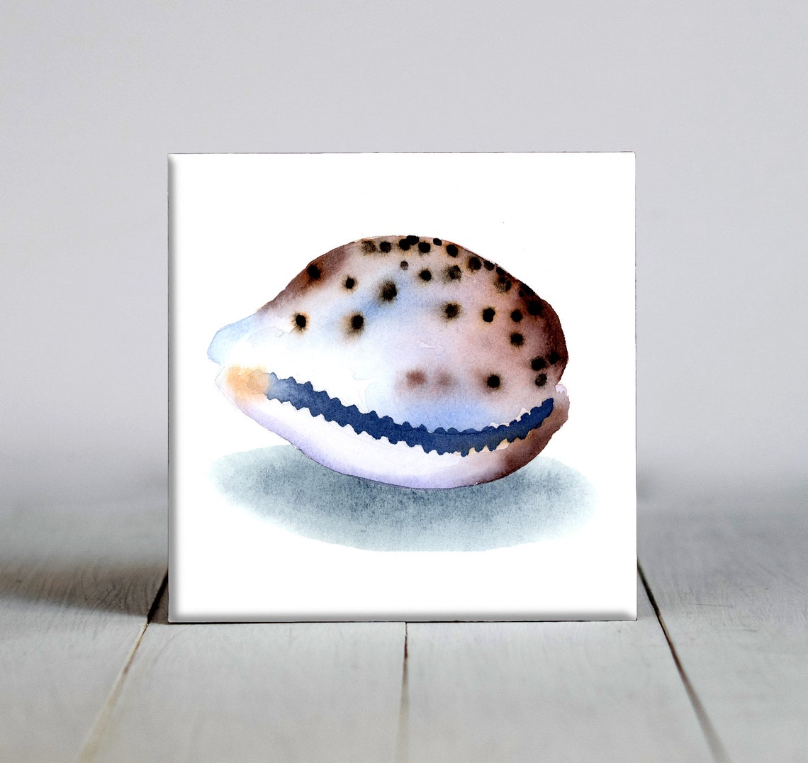 Spotted Cowrie Seashell Watercolor Beach Coastal Decor Poster
