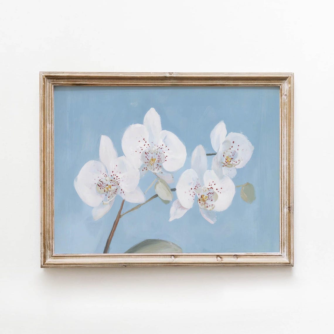 White Orchid Blooms Poster Dusty Blue Soft Botanical Floral Decor
