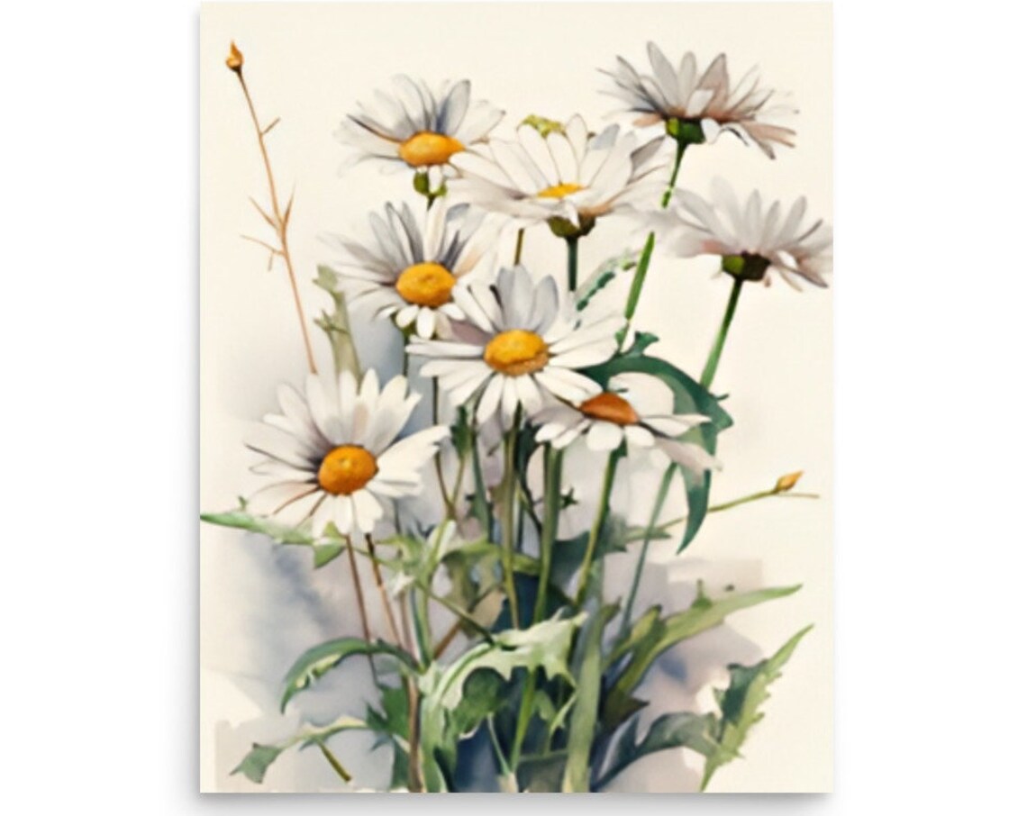 White Daisies Bouquet Golden Centers Fresh Watercolor Floral Poster