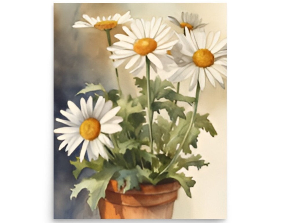 White Daisies In Terracotta Pot Watercolor Flower Still Life Poster