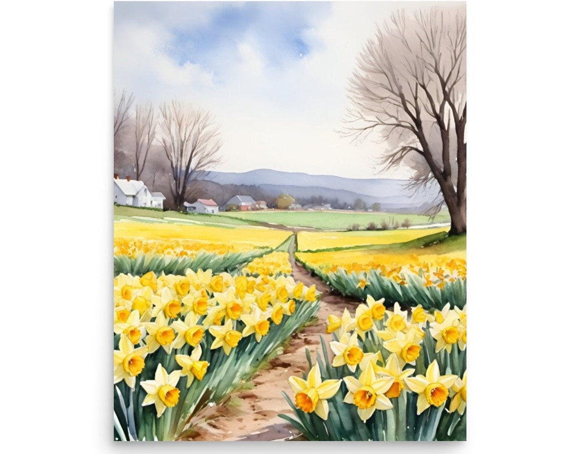 Yellow Daffodil Field Farm Path Spring Watercolor Flower Poster