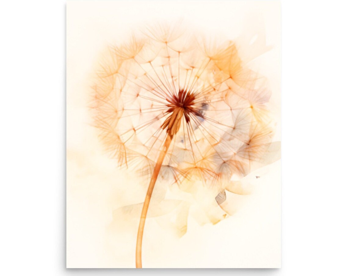 Dandelion Seed Head Peach Orange Watercolor Botanical Poster