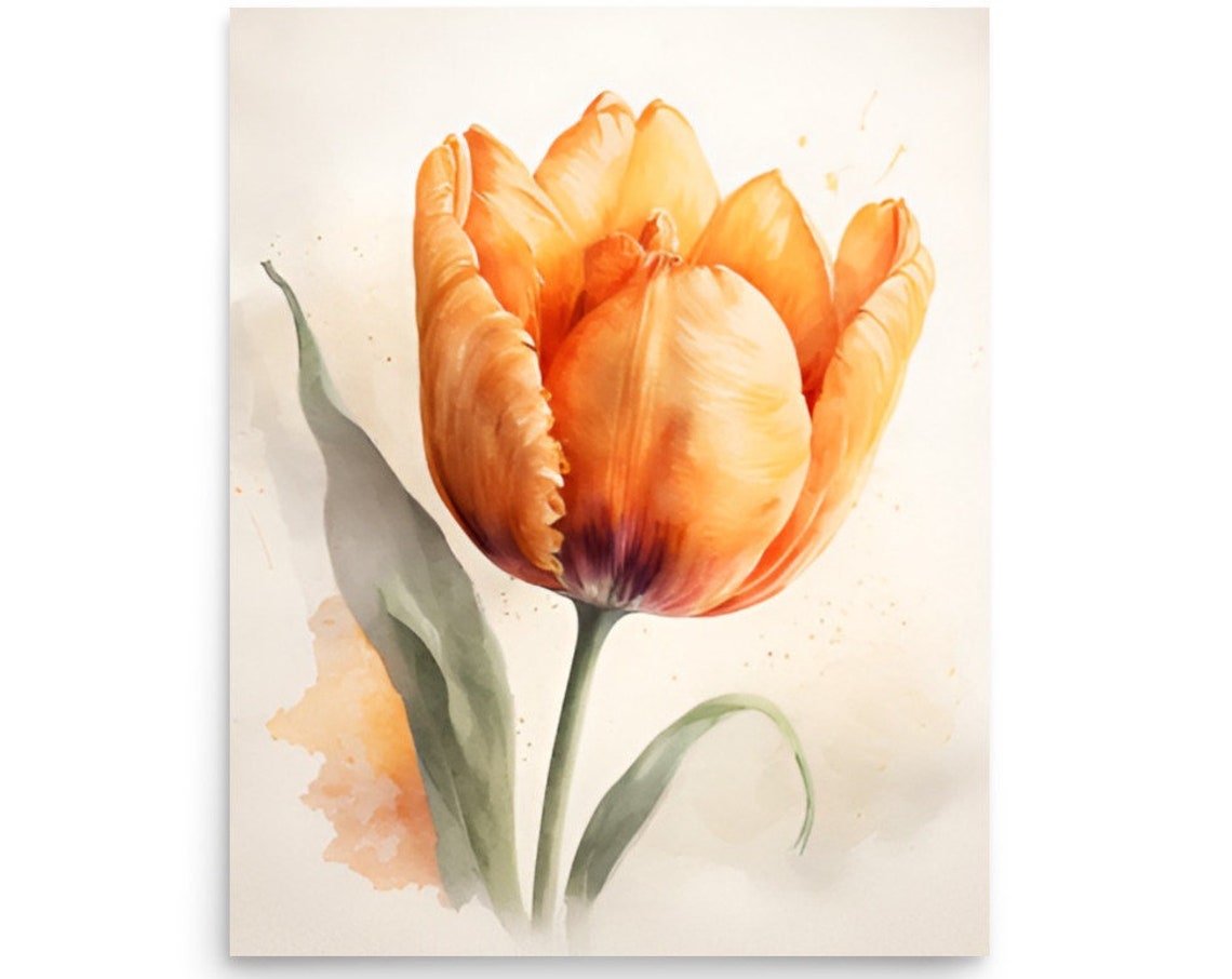 Orange Tulip Watercolor Botanical Flower Single Bloom Close Up Poster