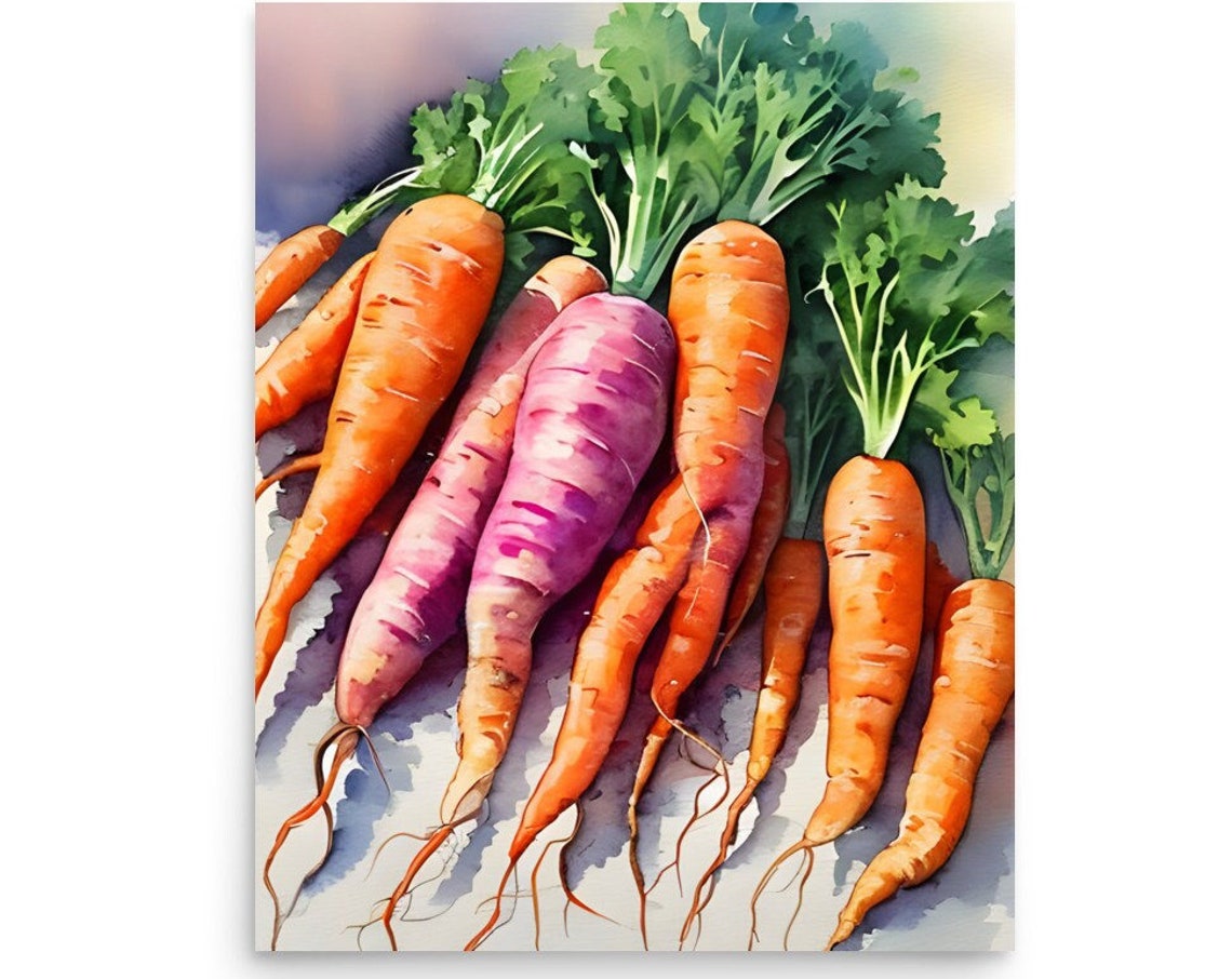 Fresh Carrots Bunch Orange Violet Watercolor Kitchen Still Life Poster
