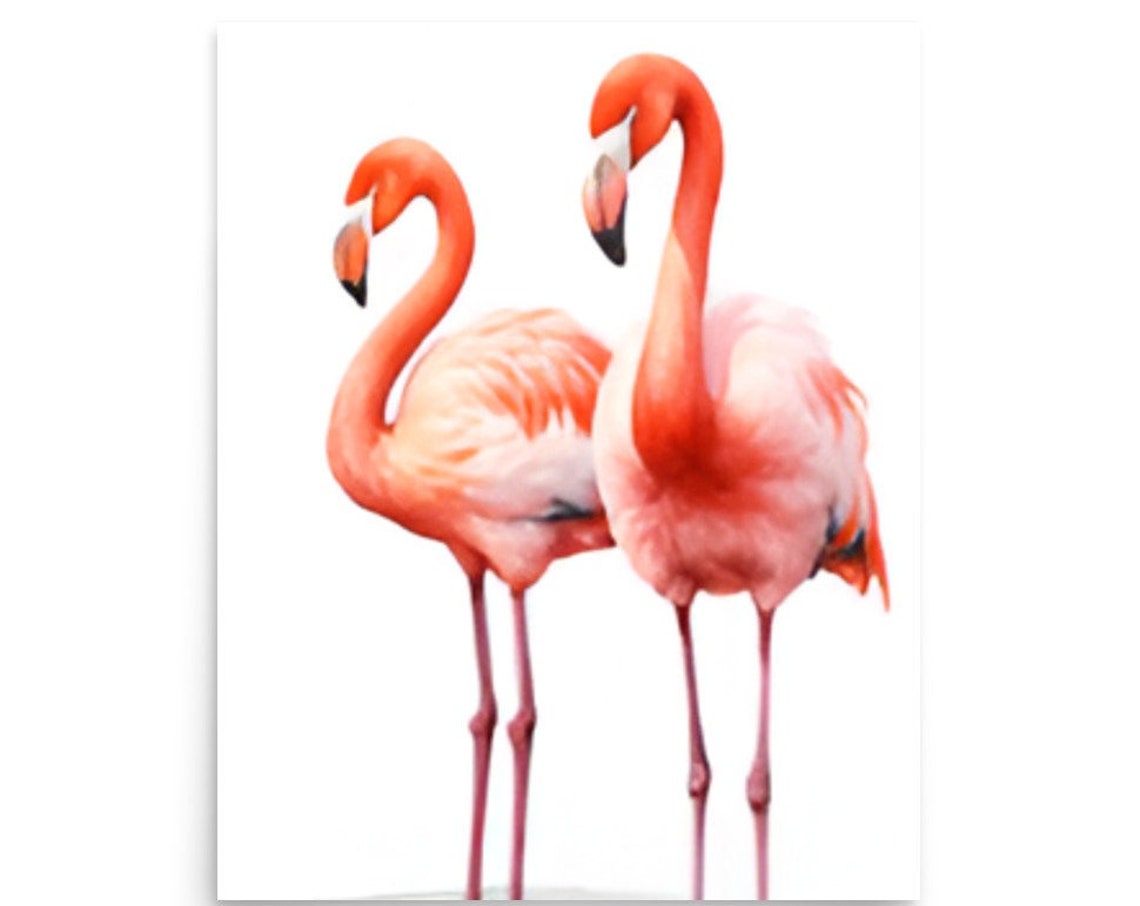 Flamingo Painting Two Pink Birds Watercolor Art Print Flamingo Wall Art Birds Watercolor Lafge Poster Animals Art Nursery Wall Decor