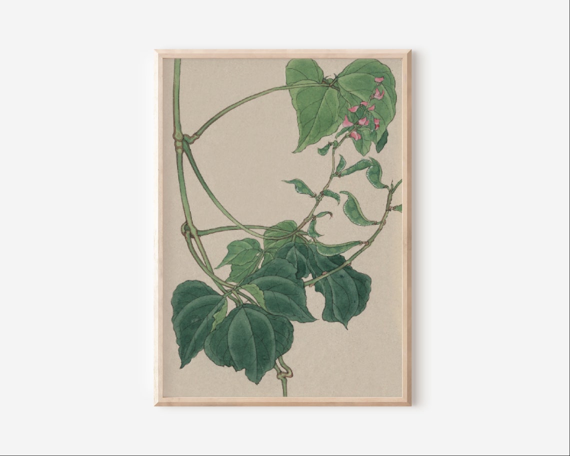 Japanese Plants and Frog, Vintage Art Deco Poster - Image 4