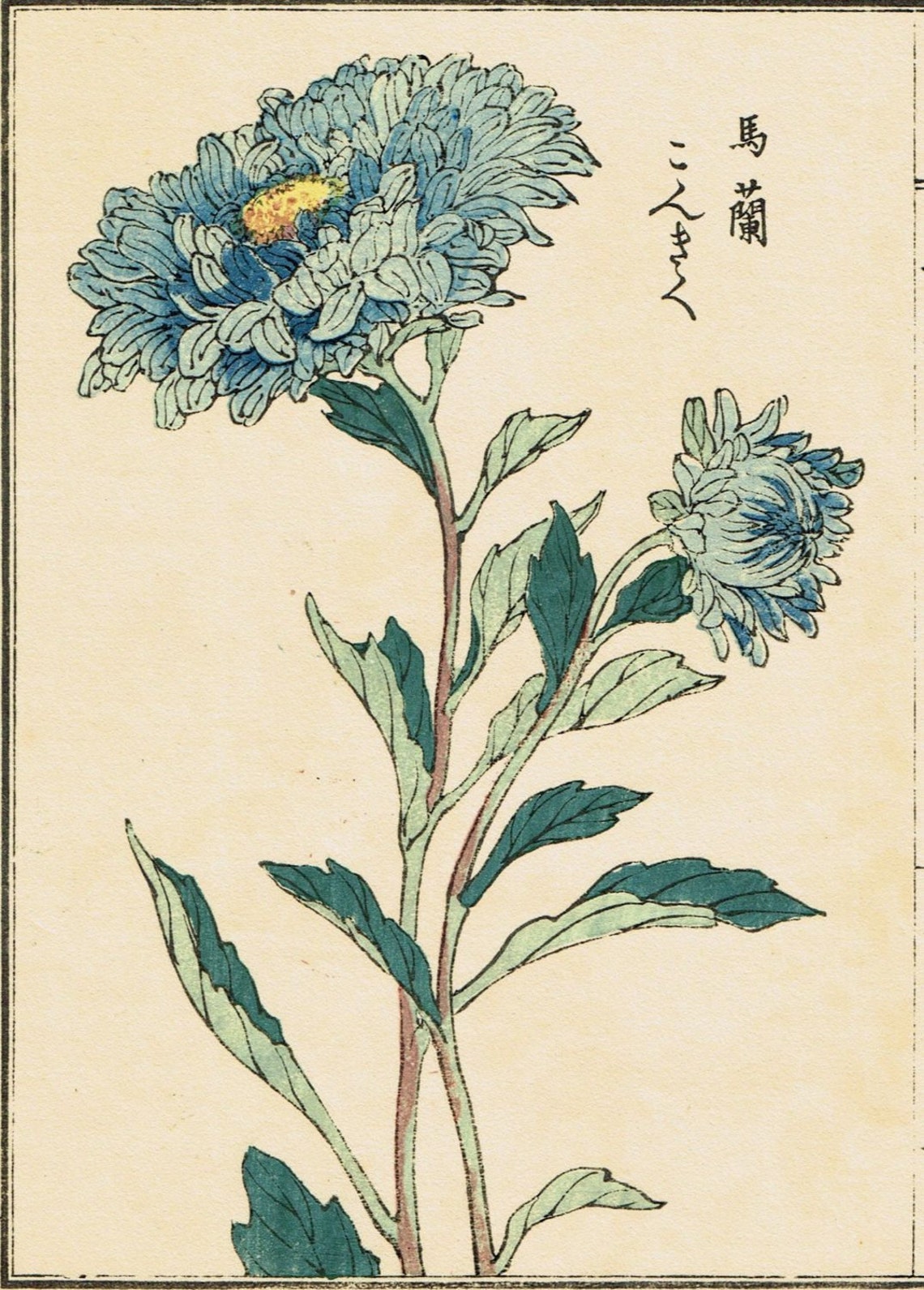 Japanese Flower Vintage Art Deco Wall Art Print - Image 3