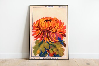 Vintage Chrysanthemums Art Deco Decor Poster Print
