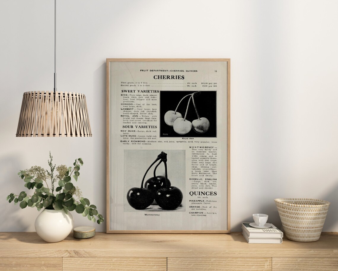 Cherry Vintage Book Print, Retro Kitchen Art Print - Image 3