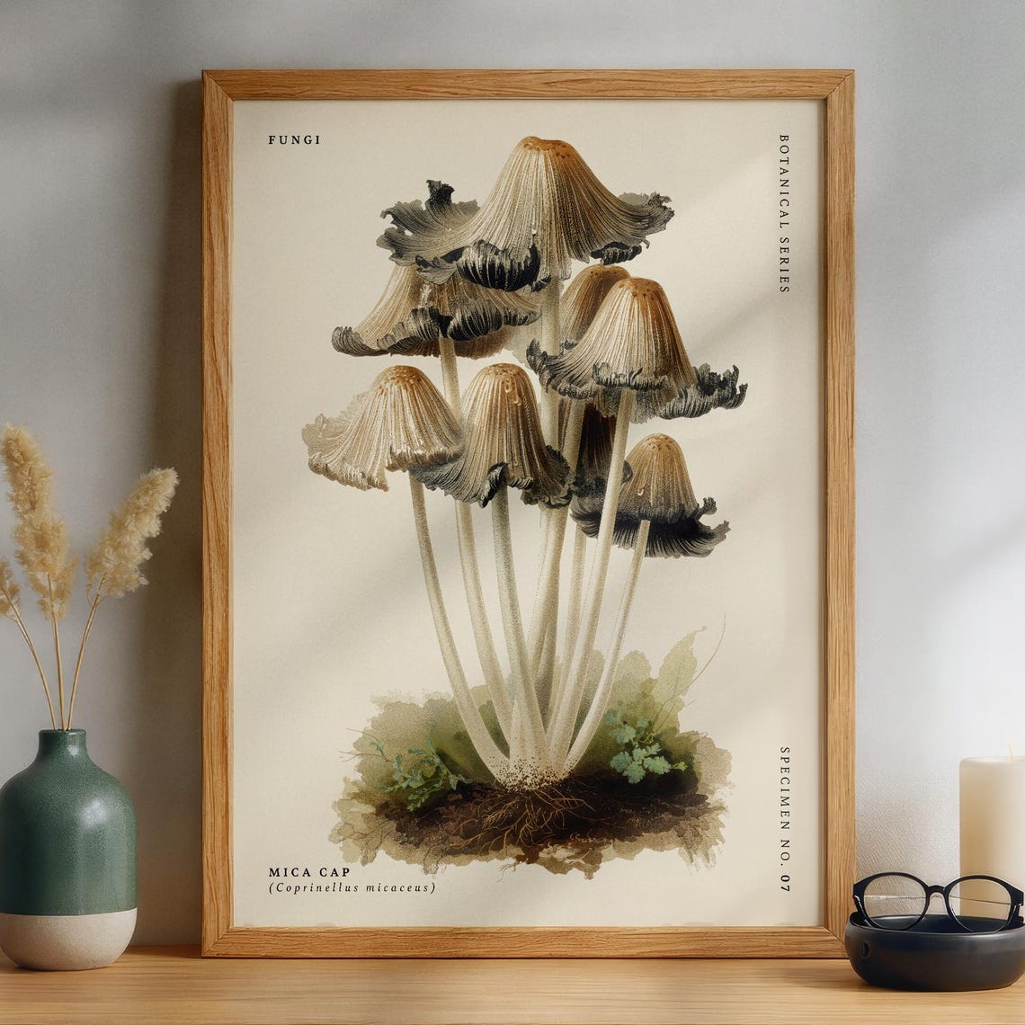 Mica Cap Mushroom Vintage Botanical Fungi Study Specimen Art Poster