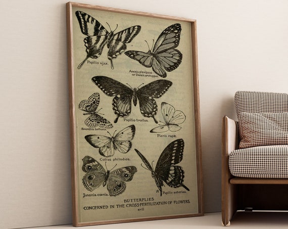 Vintage Butterflies Chart Poster Art Deco Vintage Print Colorful Wall Art Large Wall Art Print Decor Retro Butterfly Poster