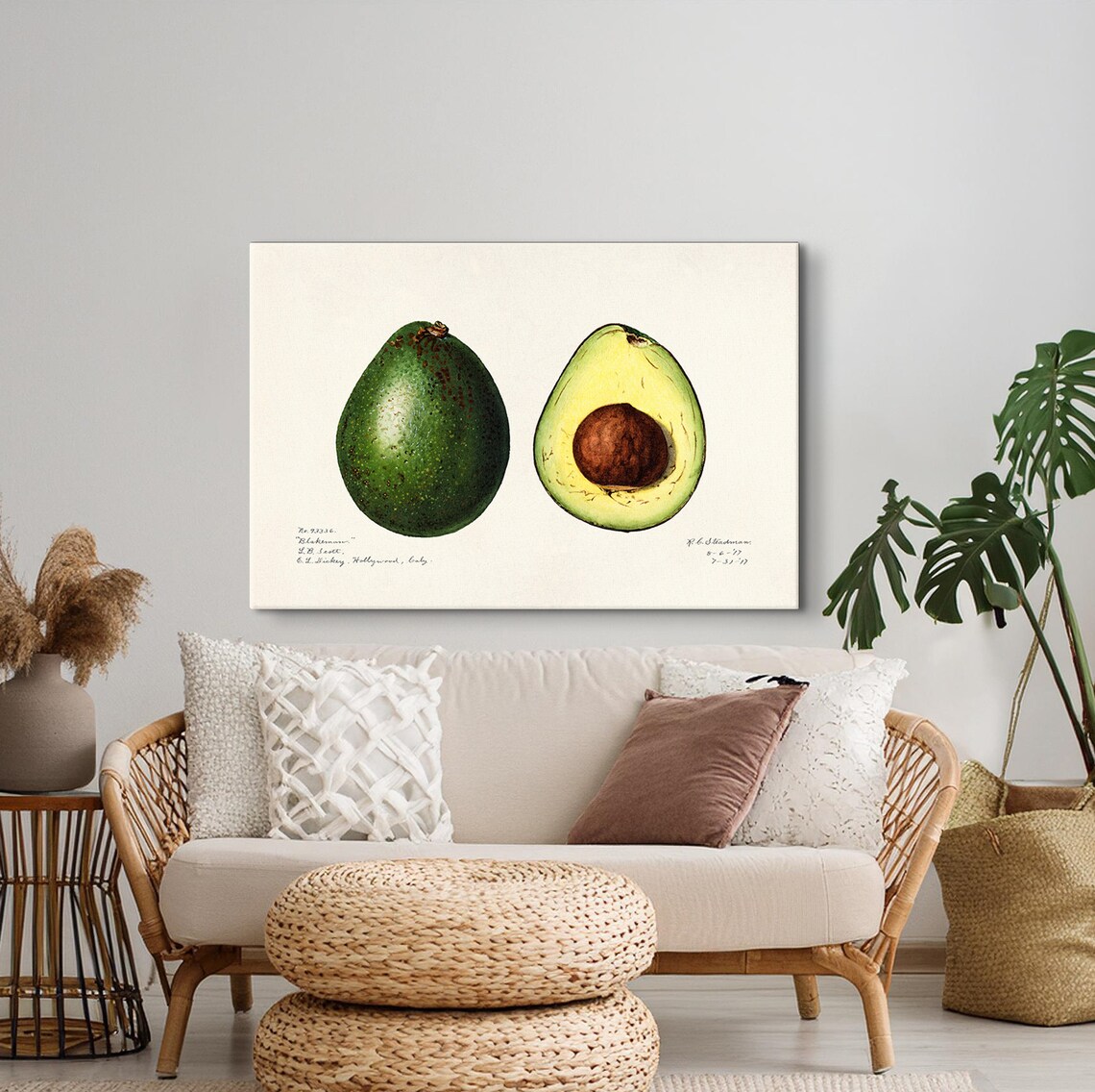 Charles Steadman Vintage Avocado Botanical Print - Image 2