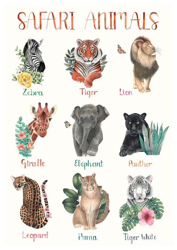 Safari Nursery Prints, Cute Jungle Animal Art Print