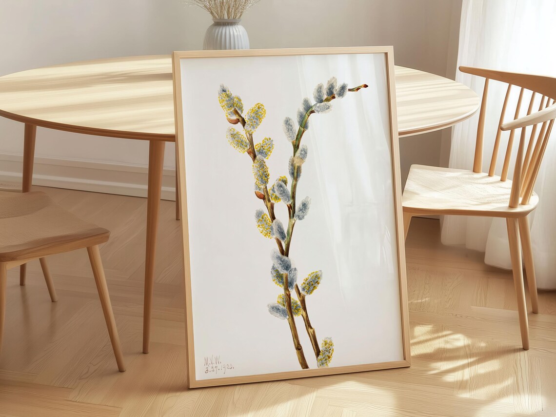 Mary Vaux Walcott Art Print Pussywillow Canvas Fine Vintage Flower Botanical Wall