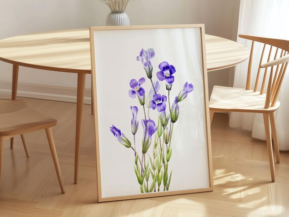 Mary Vaux Walcott Fringed Gentian Purple Wildflower Botanical Poster