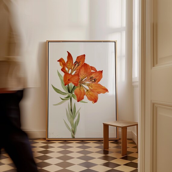 Red Wood Lily Orange Blossoms Vintage Botanical Flower Poster
