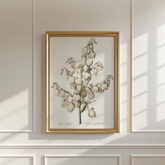 Yucca Flower Stalk Vintage Botanical Redoute Style Art Poster