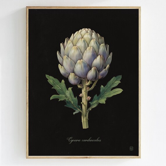 Botanical Artichoke Vintage Vegetable Poster Print
