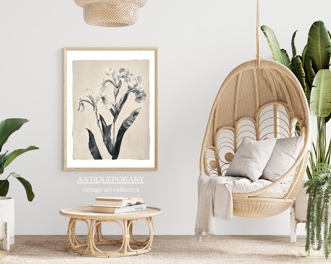 Vintage Botanical Lily Illustration Monochrome Antique Poster - Image 6