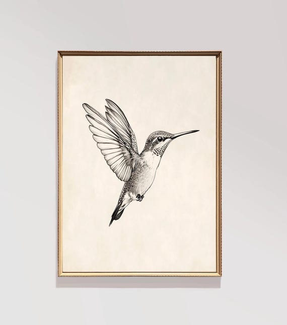 Hummingbird Sketch Vintage Minimalist Art Print