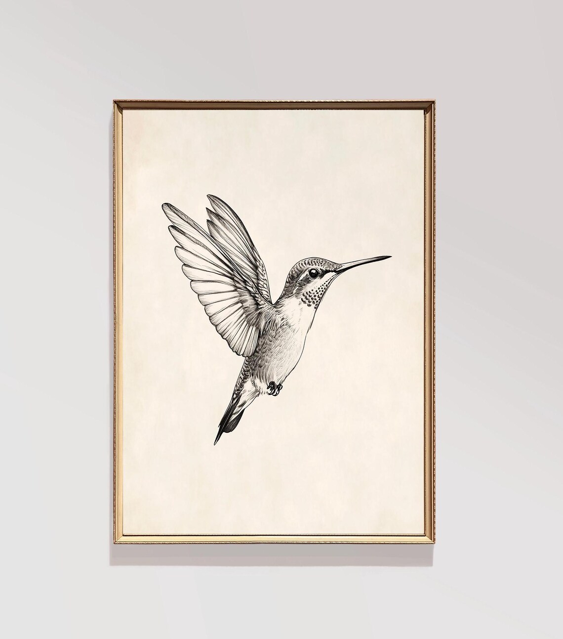 Hummingbird Sketch Vintage Minimalist Art Print