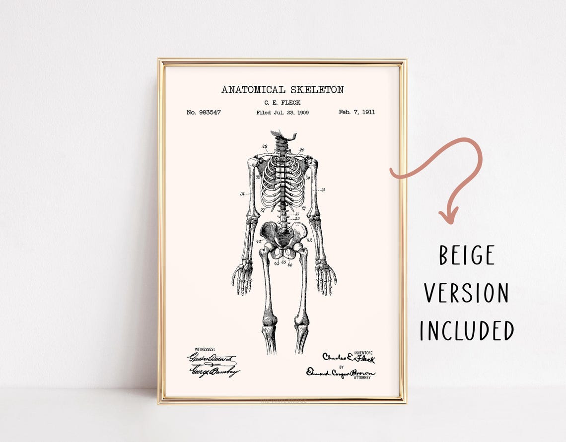 1911 Anatomical Skeleton Patent Drawing Gothic Medical Poster - Image 4