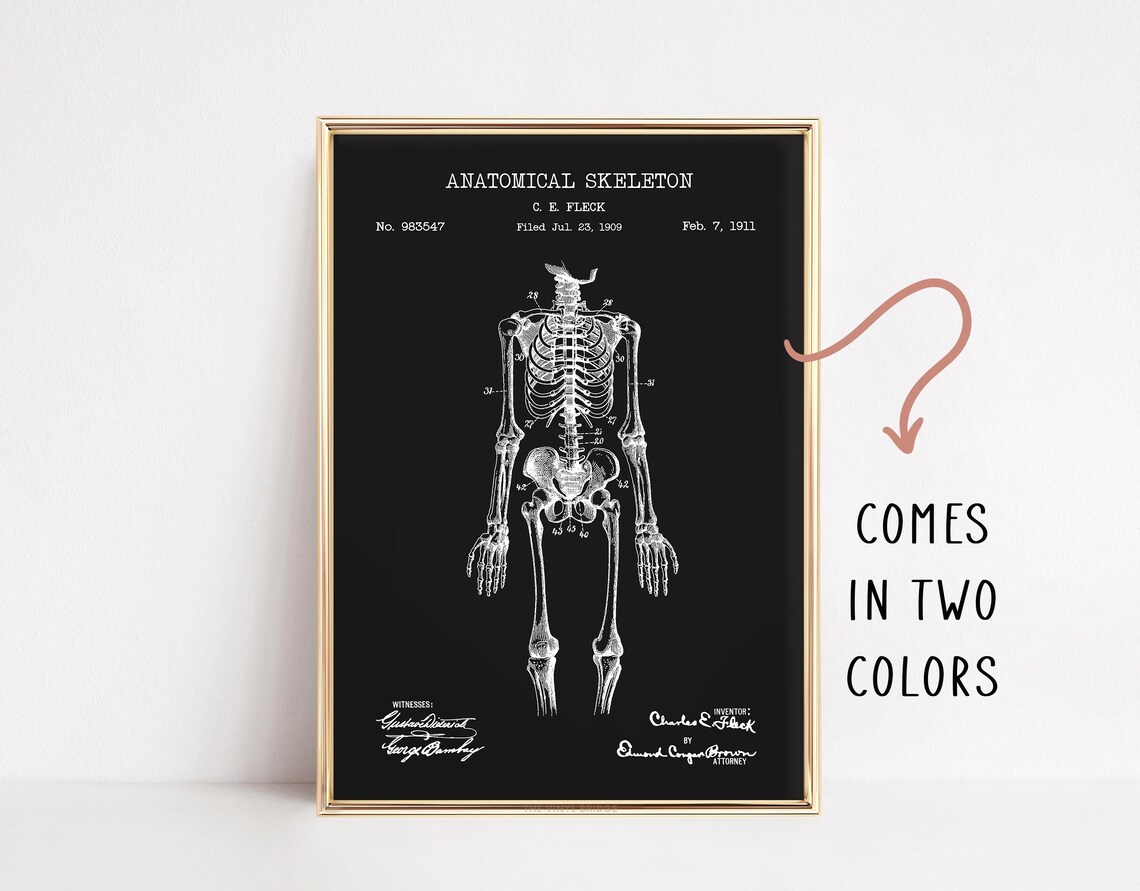1911 Anatomical Skeleton Patent Drawing Gothic Medical Poster
