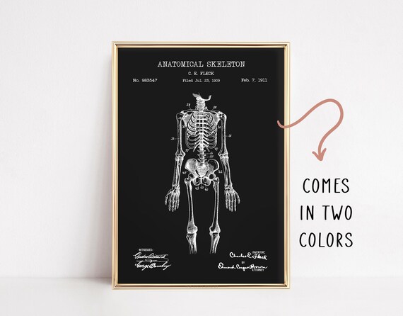 1911 Anatomical Skeleton Patent Drawing Gothic Medical Poster