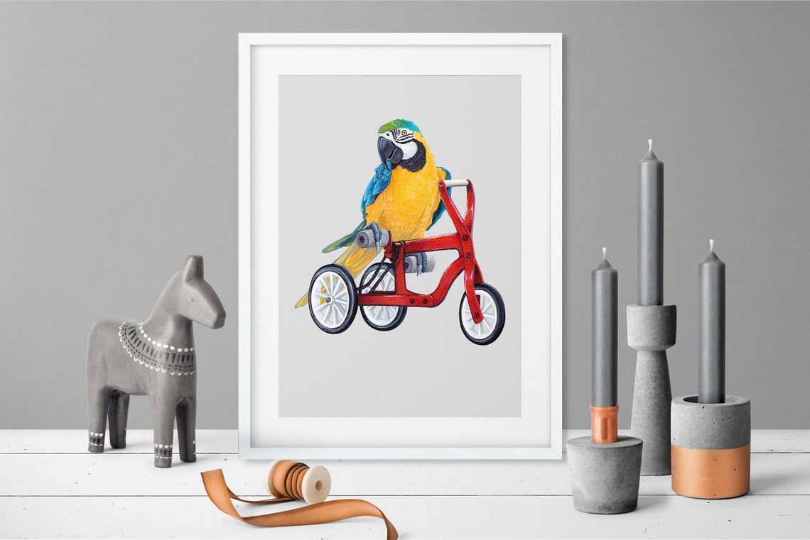 Blue And Yellow Macaw Riding Red Tricycle Funny Bird Animal Poster