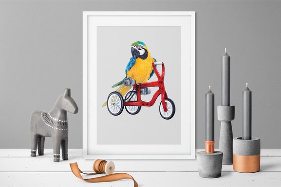 Blue And Yellow Macaw Riding Red Tricycle Funny Bird Animal Poster
