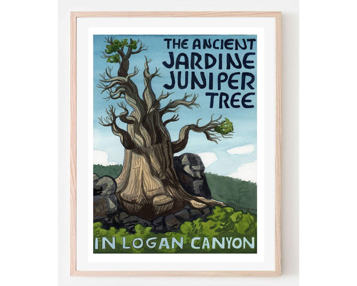 Jardine Juniper Tree Travel Poster, Logan Canyon Utah