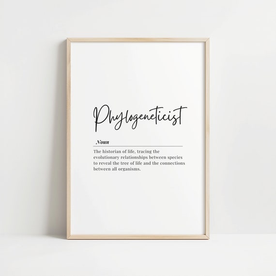 Phylogeneticist Definition Wall Art Print Scientific Artwork Home Office Decor Educational Poster