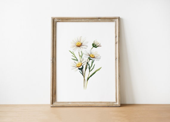 Watercolor Daisy Floral Art Print Botanical Wall Decor Instant Flower For Home
