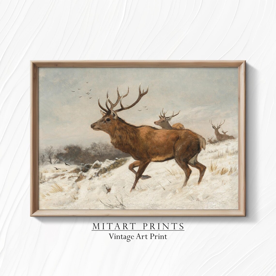 Vintage Red Deer Stags in Snowy Field Winter Wildlife Art Print
