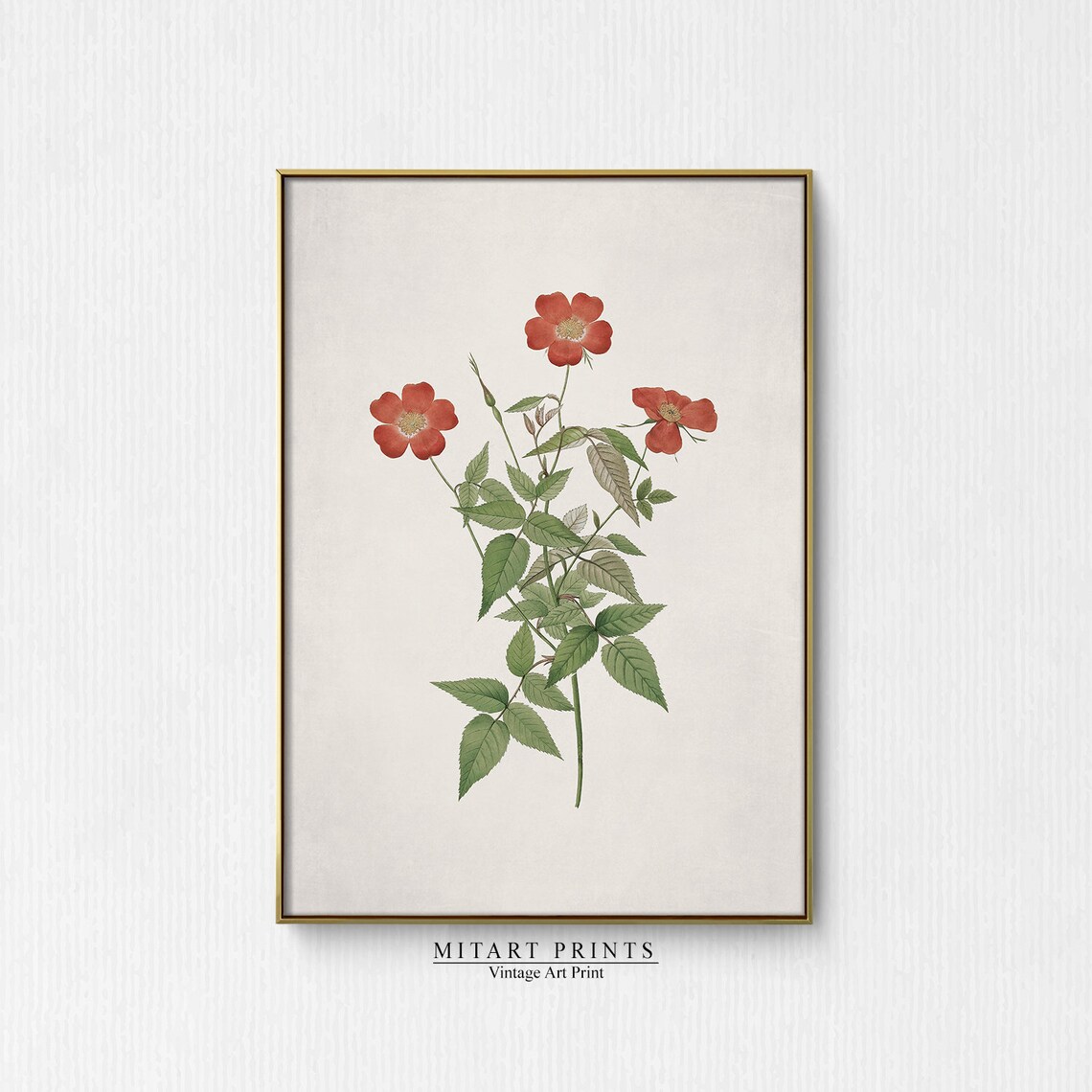 Antique Botanical Vintage Flower Art Print
