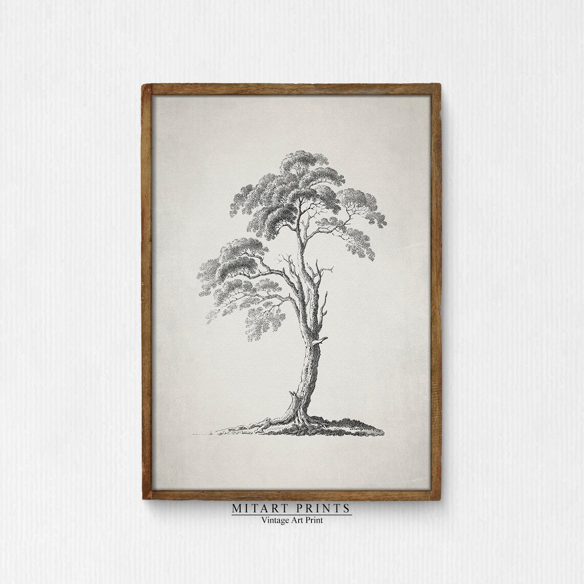 Antique Tree Sketch, Vintage Neutral Art Print