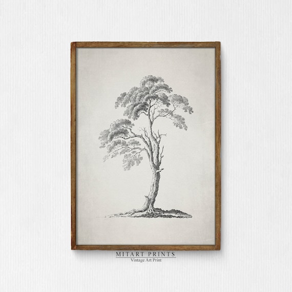 Antique Tree Sketch, Vintage Neutral Art Print