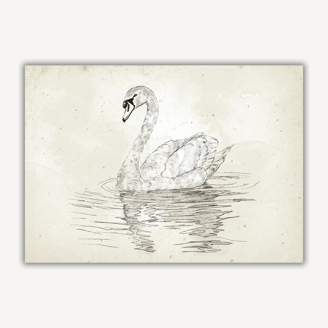 Swan Swimming Antique Pencil Sketch Neutral Vintage Nursery Wall Art - Image 3