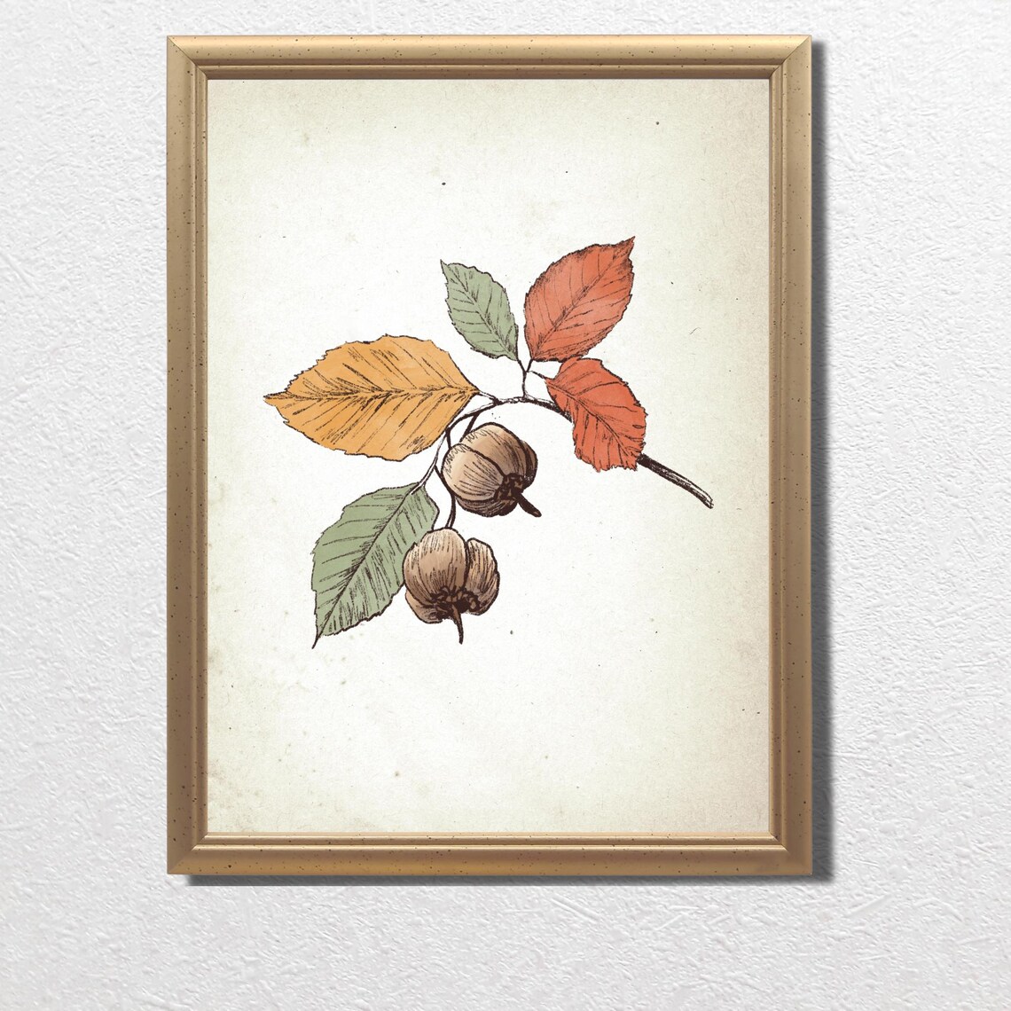 Vintage Chestnuts On Branch Botanical Sketch Autumn Wall Art - Image 3