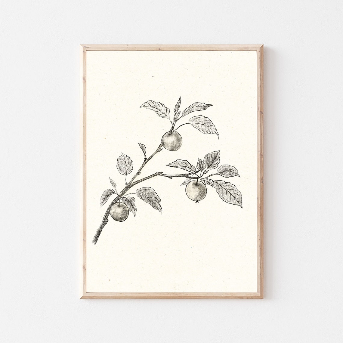 Vintage Botanical Gallery Wall Neutral Farmhouse Kitchen Sketch Art Apple Tree Branch