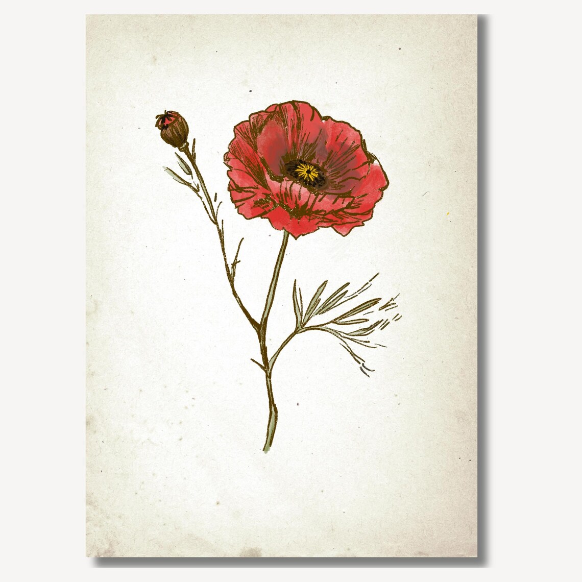 Red Poppy Flower Single Bloom Botanical Sketch Wall Art Piece - Image 2