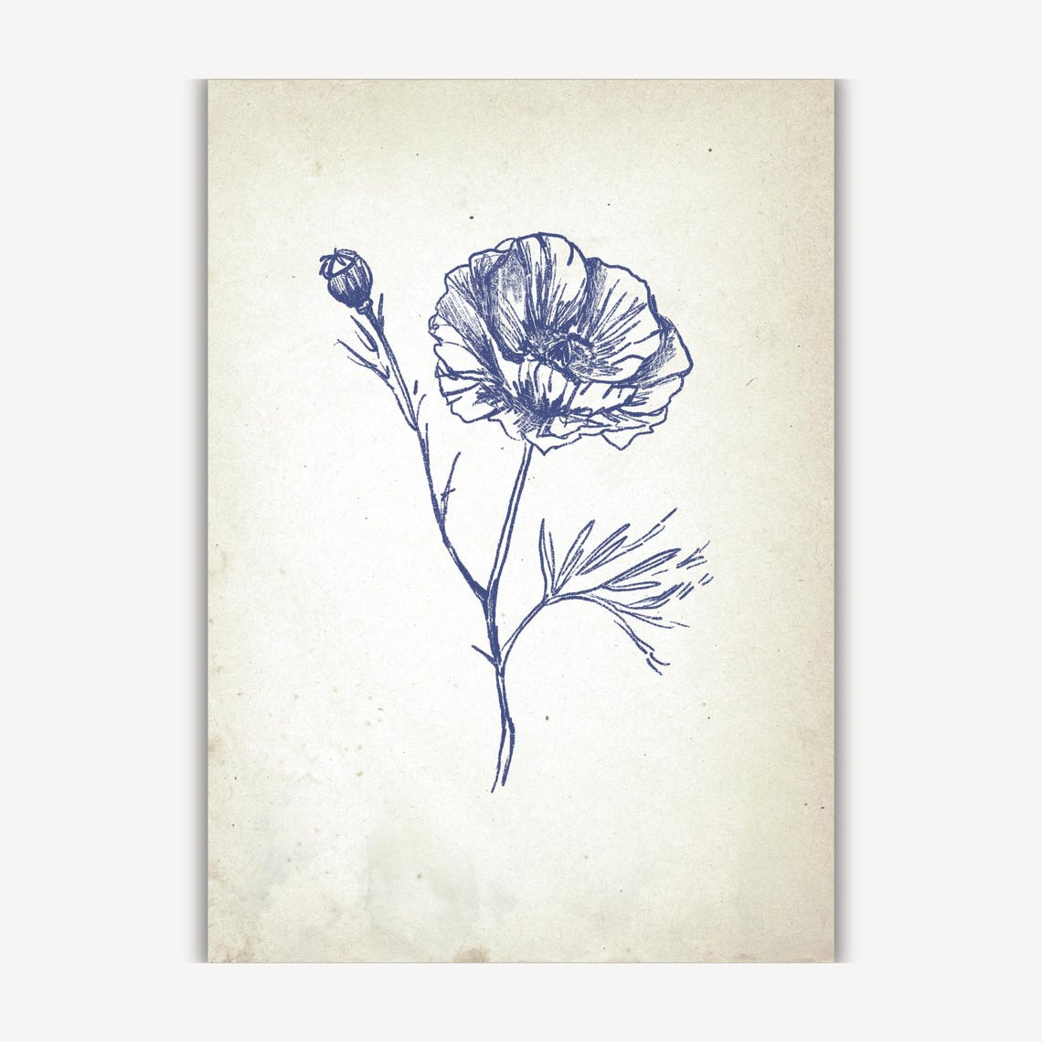Blue Poppy Blossom in Vintage Botanical Ink Sketch Art Poster - Image 3